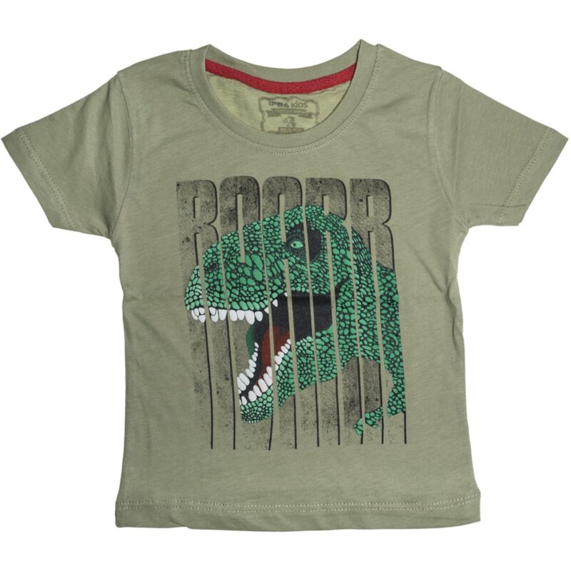 Ifba Kids μπλούζα με ανάγλυφο τύπωμα «Haki Roar»