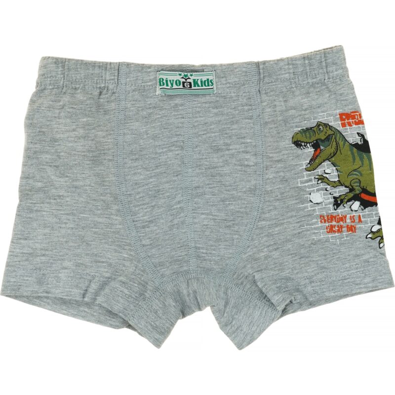 Biyo Kids μποξεράκι «Grey Roar»