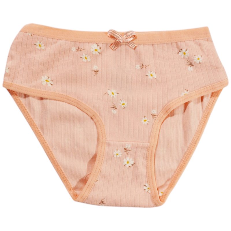 Biyo Kids παιδικό βρακάκι «Salmon Chamomiles»